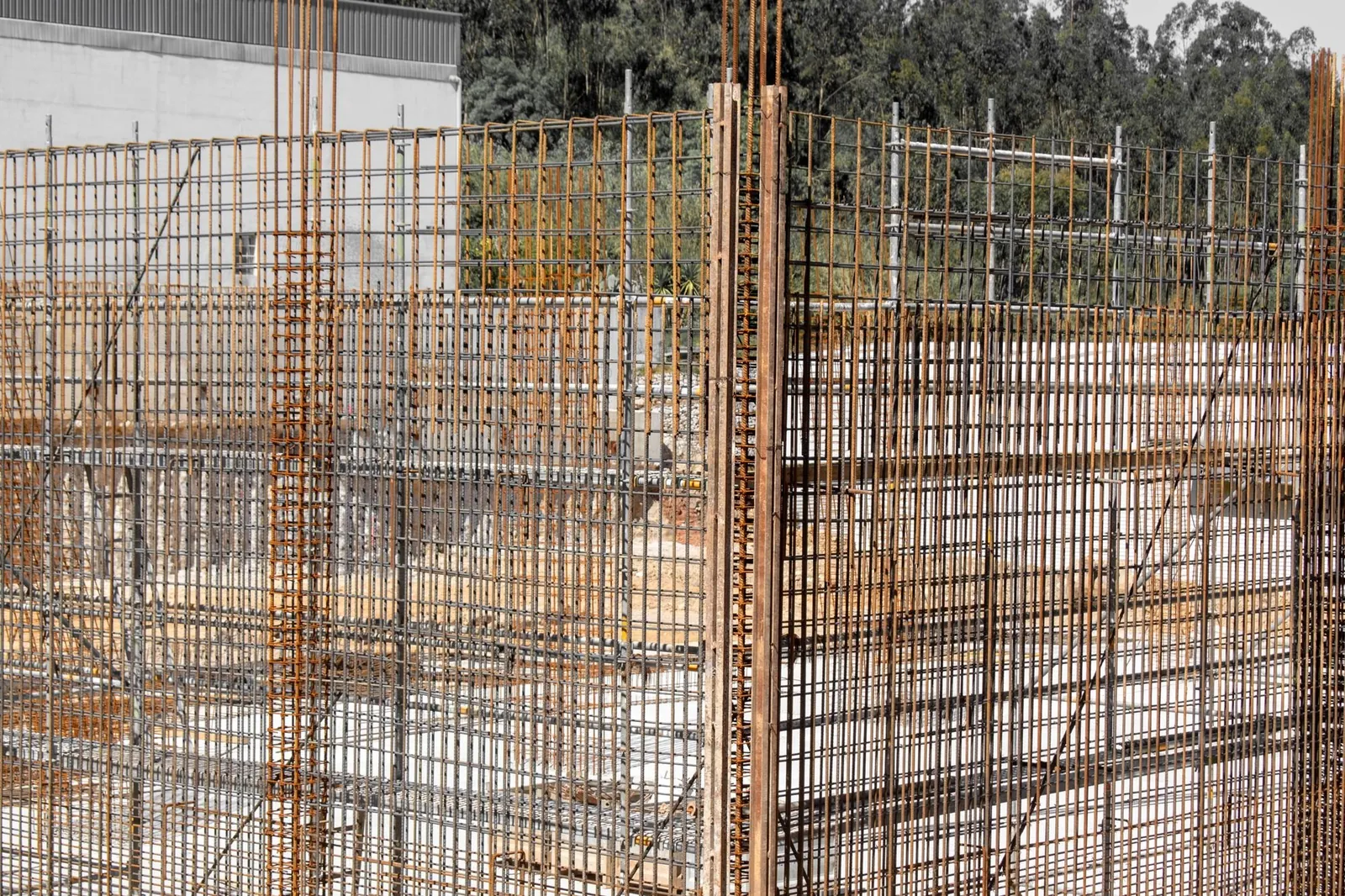 Rebar cages and formwork for concrete walls, with forest behind