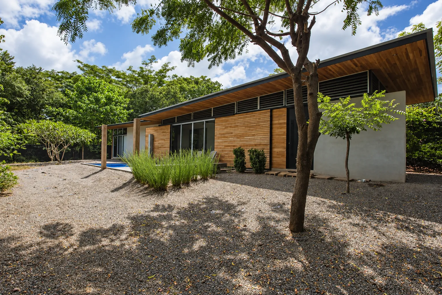 Single-storey house with a timber facade and a long low roof behind a dry garden with a young tree